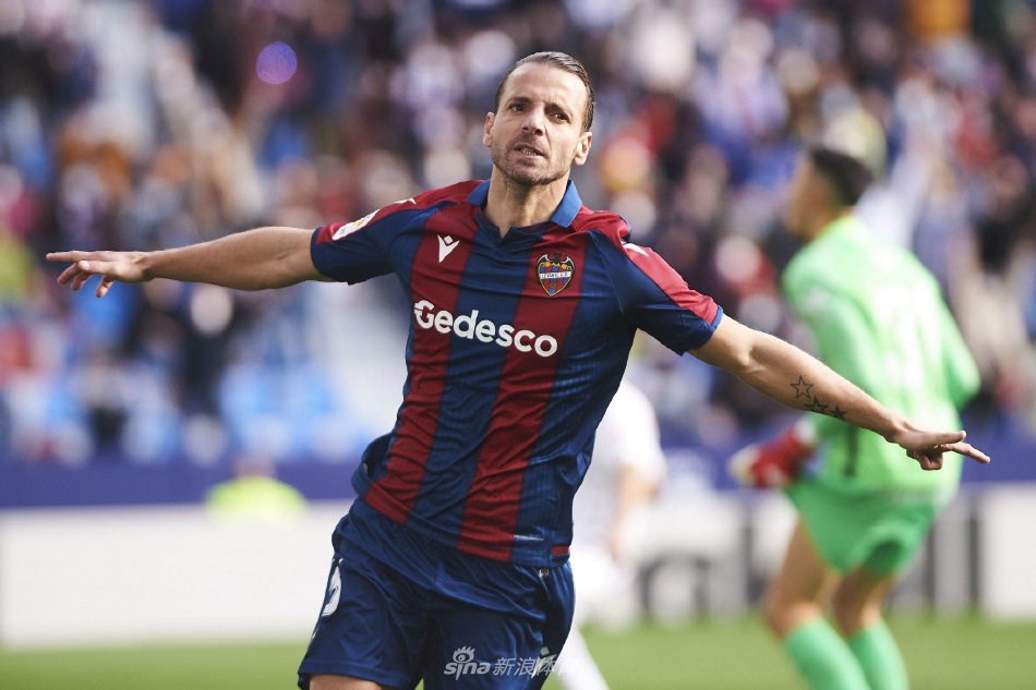 岚山茶业正 岚山茶业正